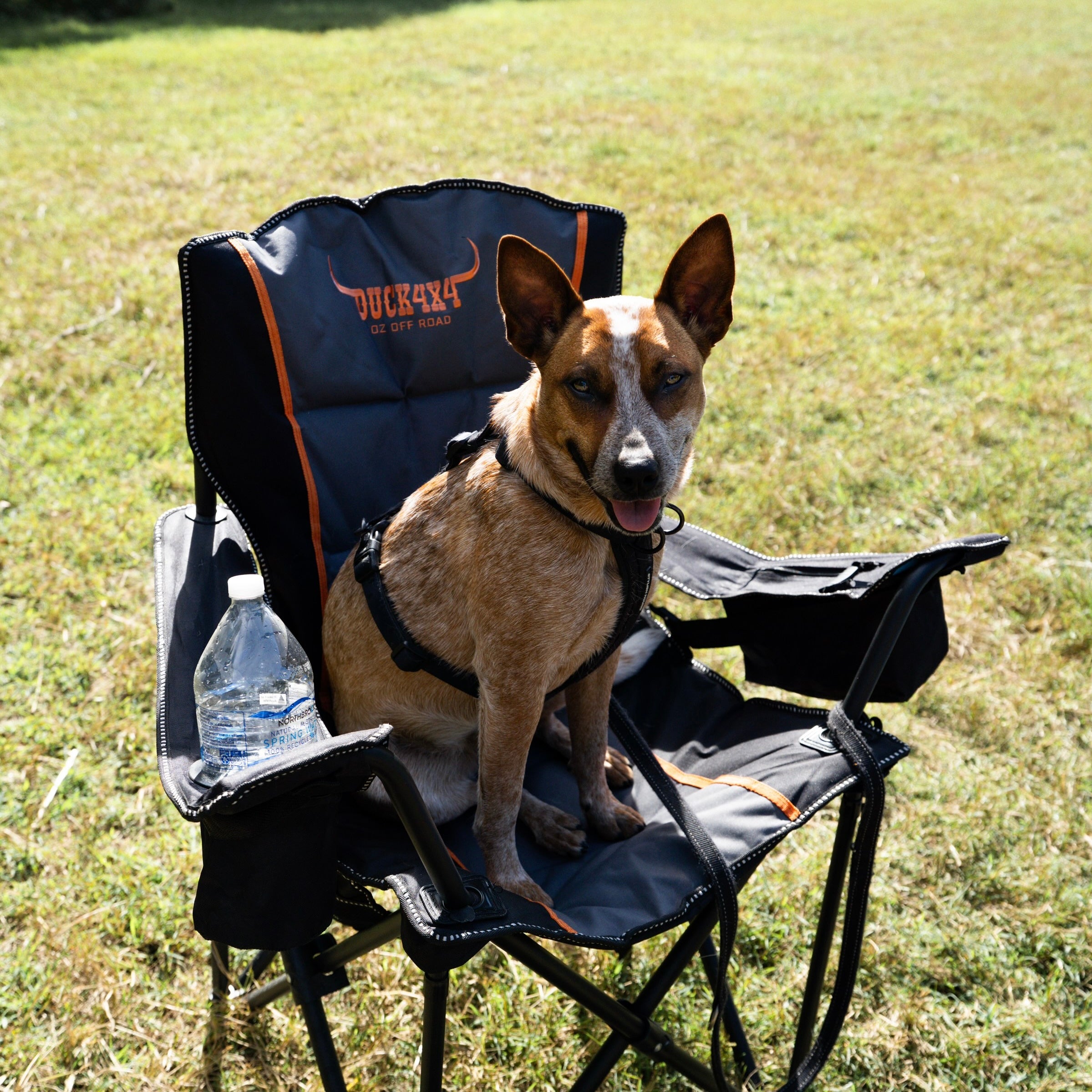 DUCK4X4 Chiller Chair