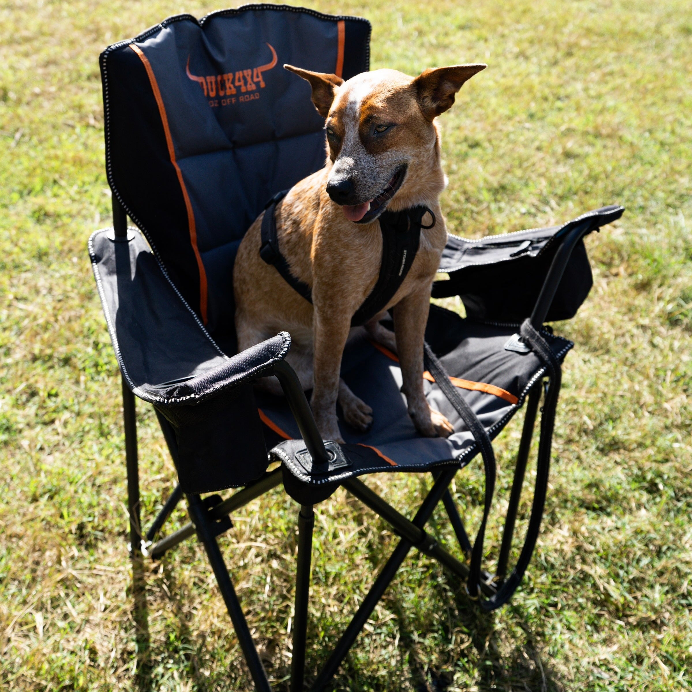 DUCK4X4 Chiller Chair