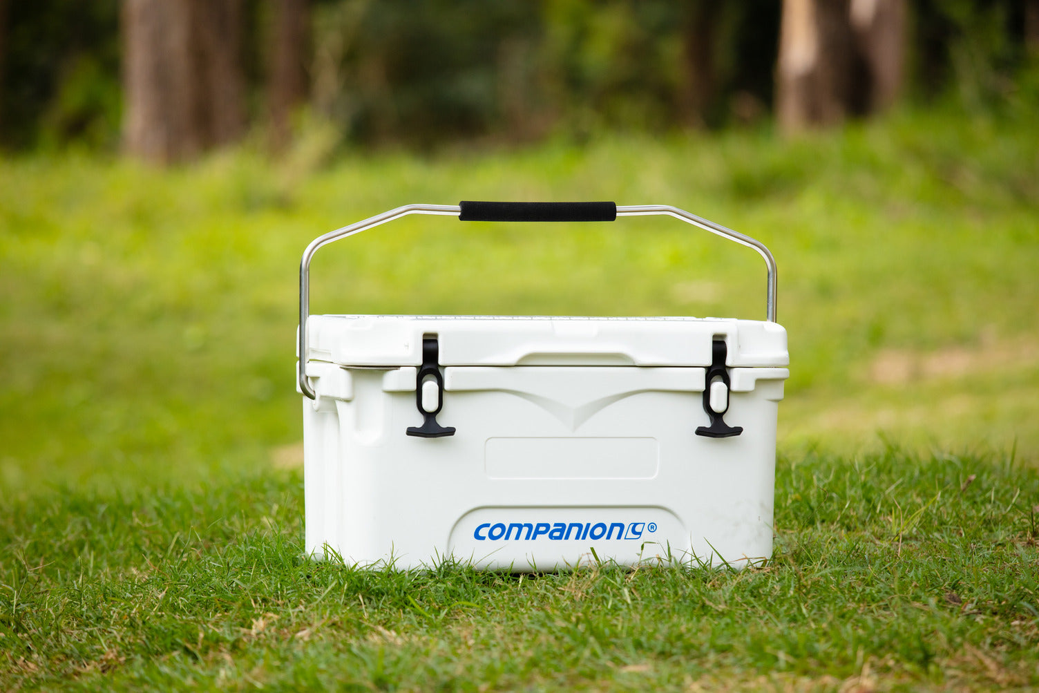 25l Ice Box W Bail Handle