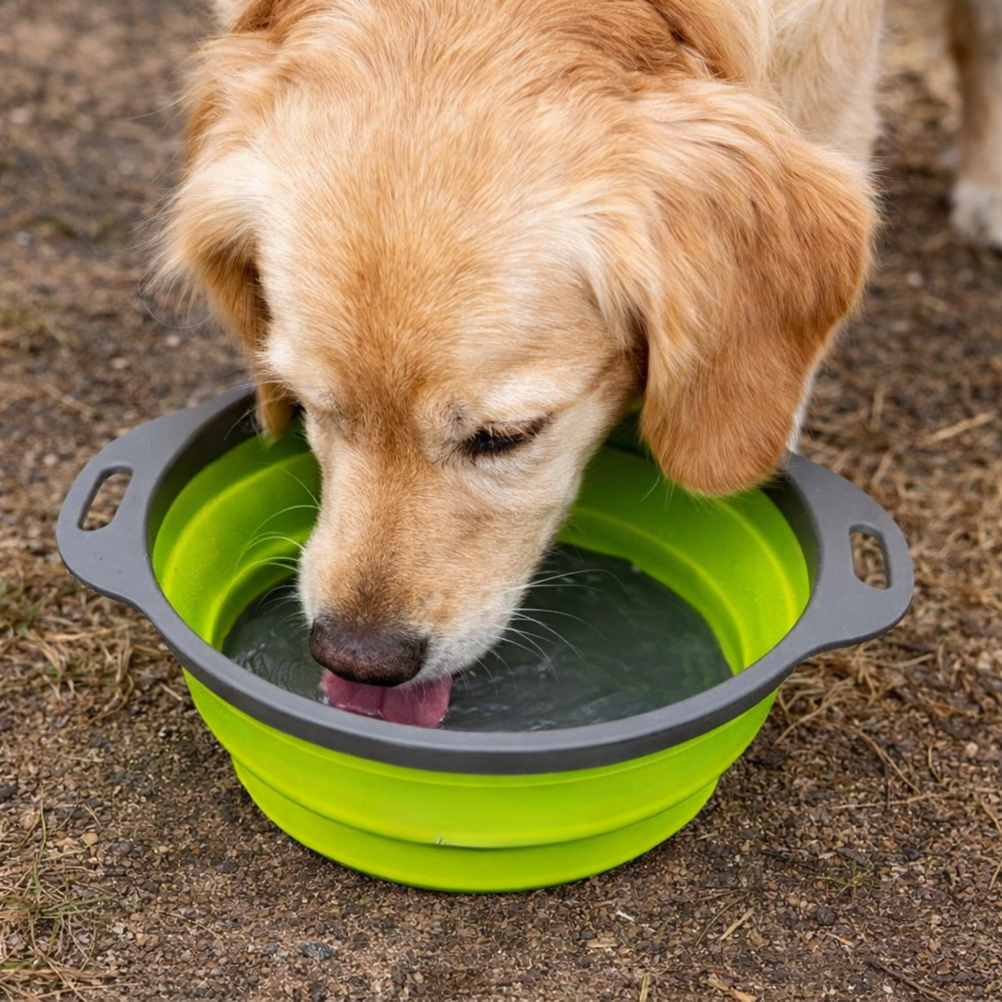 DUCK4X4 Collapsible Bowl Set